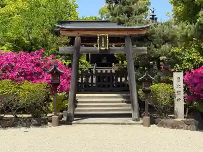 誉田八幡宮(大阪府)