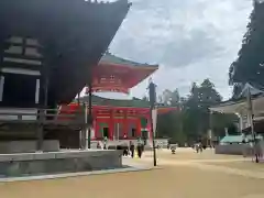 法話と天井絵の寺　観音寺(徳島県)