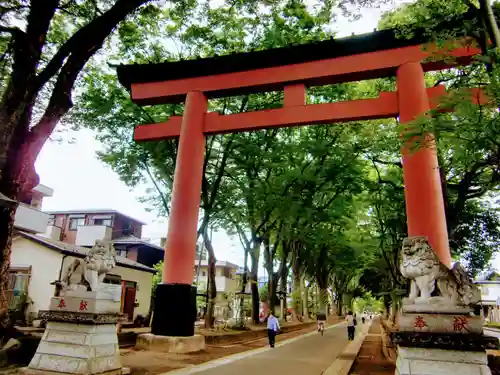 武蔵一宮氷川神社の鳥居