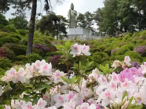 塩船観音寺の仏像