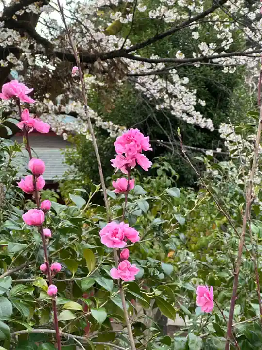 簳幹八幡宮(東京都)