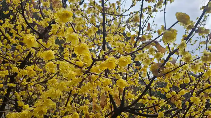 西方寺(愛知県)