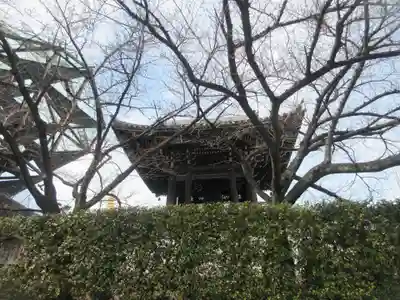 一心寺(大阪府)