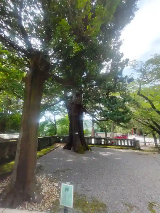 伊豆山神社(静岡県)