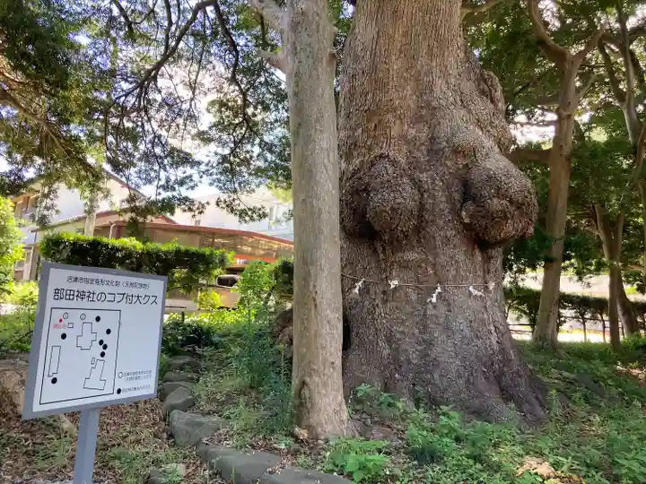 部田神社の自然