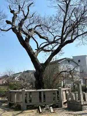 旭神社(大阪府)