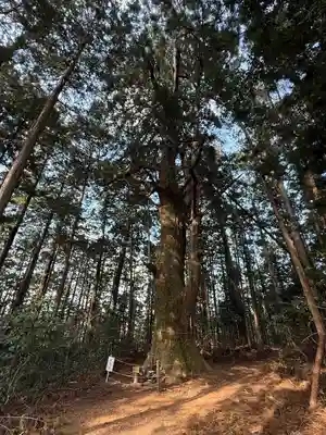 智満寺(静岡県)
