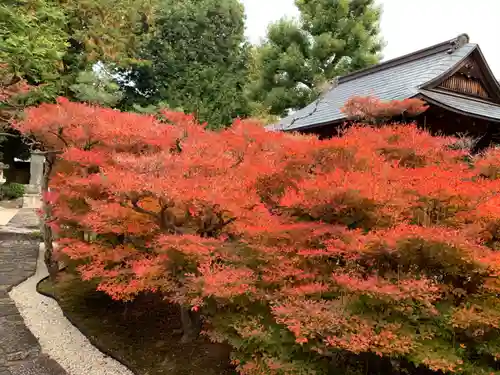 崇福寺の自然