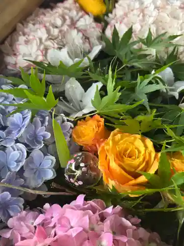 群馬県護国神社(群馬県)