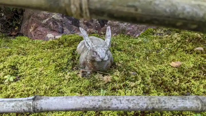雙林寺(双林寺)(京都府)