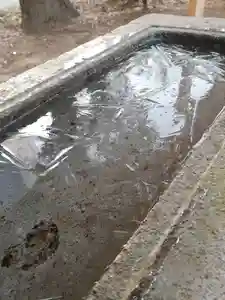 伏木香取神社の手水舎(2020年02月07日(金) 07時14分16秒投稿)