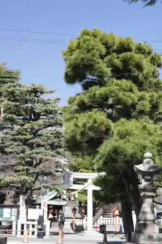 草加神社(埼玉県)
