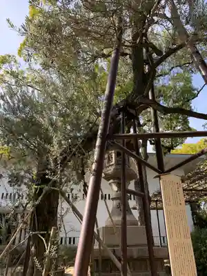 湊川神社(兵庫県)