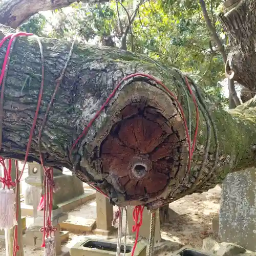 森稲荷大明神の自然