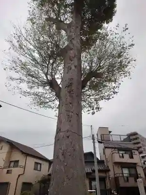香取神社(千葉県)