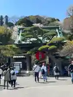 長谷寺の山門・神門