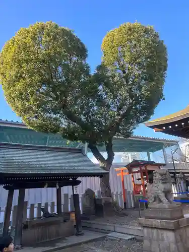 南宮宇佐八幡神社（脇浜神社）(兵庫県)