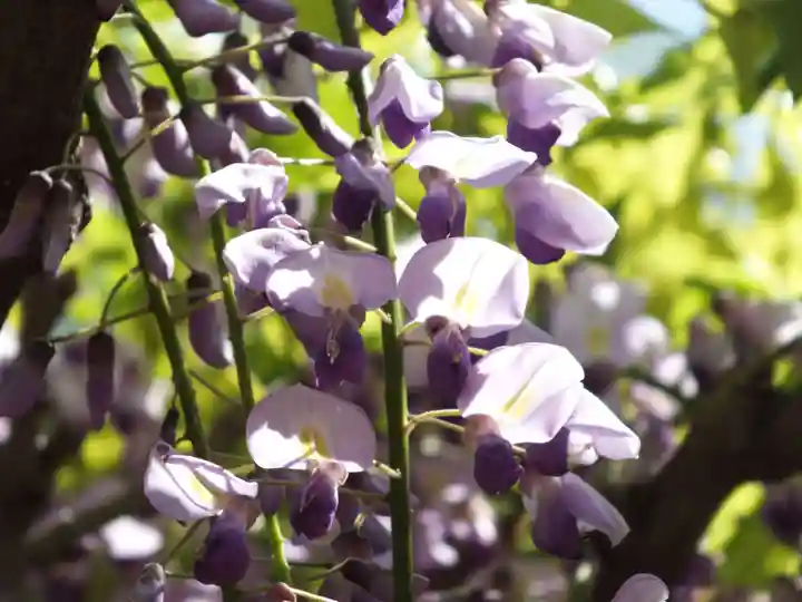 志那神社のその他建物