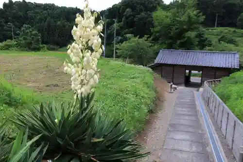 大六天麻王神社の庭園