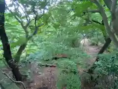 明王院（満願寺別院）の自然