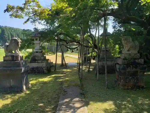 生権寺五社神社の狛犬