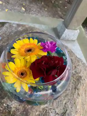 彌都加伎神社の手水舎