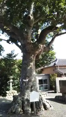 矢柄神社のその他建物