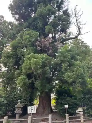 小川温泉神社(栃木県)