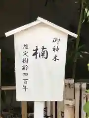 富部神社の建物その他