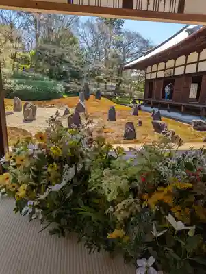 光明院（光明禅院）(京都府)