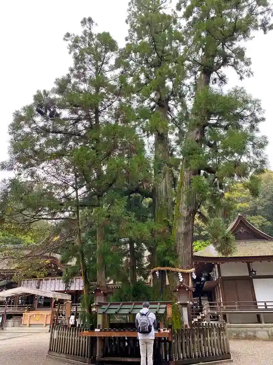 大神神社の自然