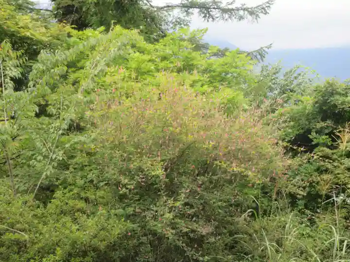 三峯神社(埼玉県)