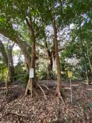 一之宮神社の自然