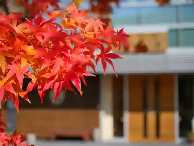 極楽山　浄土寺(北海道)