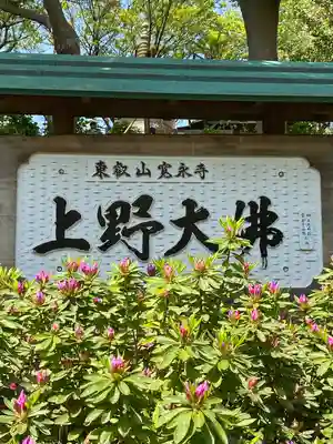 上野大佛(東京都)