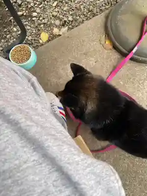 上目黒氷川神社(東京都)