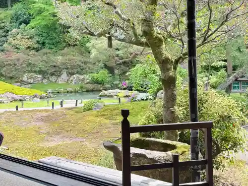 青蓮院門跡の{uncategorized: "未分類", other: "その他", undefined: "問題あり", building: "その他建物", grave: "お墓", sacred_gate: "鳥居", guardian: "狛犬", statue: "像", buddha: "仏像", history: "歴史", nature: "自然", garden: "庭園", animal: "動物", pagoda: "塔", temizu: "手水舎", mountain_gate: "山門・神門", sanctuary: "本殿・本堂", subordinate: "末社・摂社", art: "芸術", scenery: "景色", jizo: "地蔵", ema: "絵馬", goshuin: "御朱印", omikuji: "おみくじ", items: "授与品その他", amulet: "お守り", goshuincho: "御朱印帳", eats: "食事", festival: "お祭り", votive_dance: "神楽", shichigosan: "七五三参", wedding: "結婚式", experience: "体験その他", initially: "初詣", around: "周辺", anti_infection: "感染症対策"}