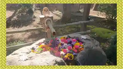 馬場氷川神社(埼玉県)