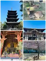 東大寺(奈良県)