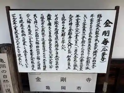 金剛寺(京都府)