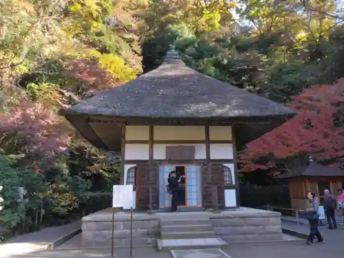 明月院(神奈川県)