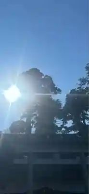 鹿島神宮(茨城県)