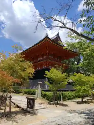 仁和寺(京都府)