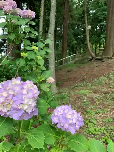 八幡神社（岩窪切岸城址）(福島県)