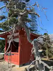 慶徳寺の建物その他