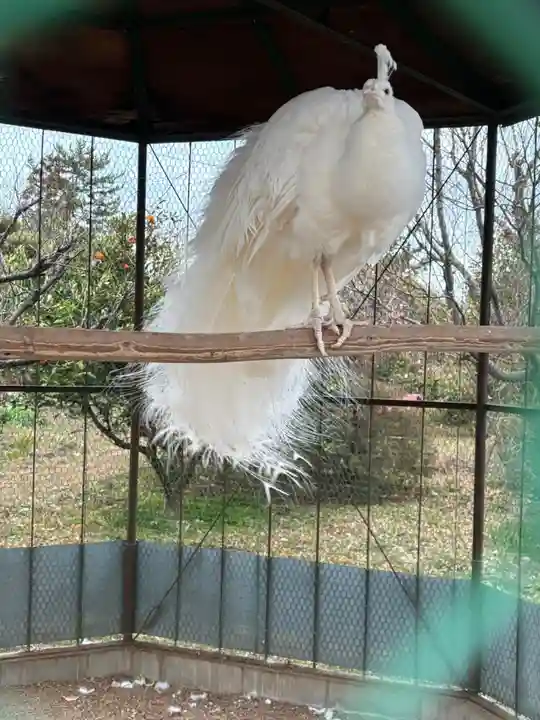 進雄神社(群馬県)