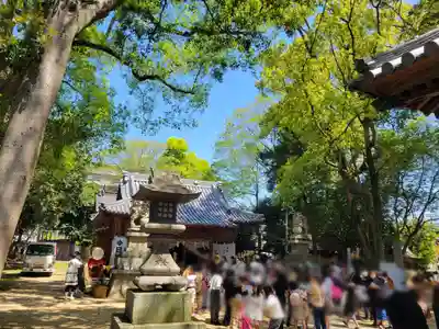 日招八幡大神社(愛媛県)