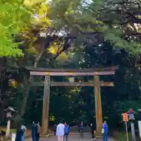 明治神宮(東京都)