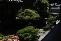 観智院(東寺子院)の庭園