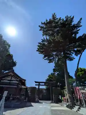 中野沼袋氷川神社(東京都)